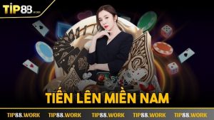 Ảnh đại diện tiến lên miền nam